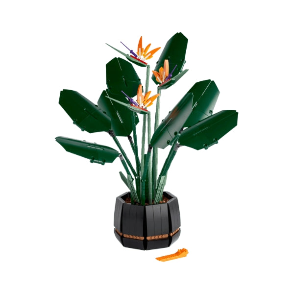 Compatible - Bird of Paradise (10289)