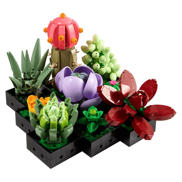 Compatible - Succulents (10309)