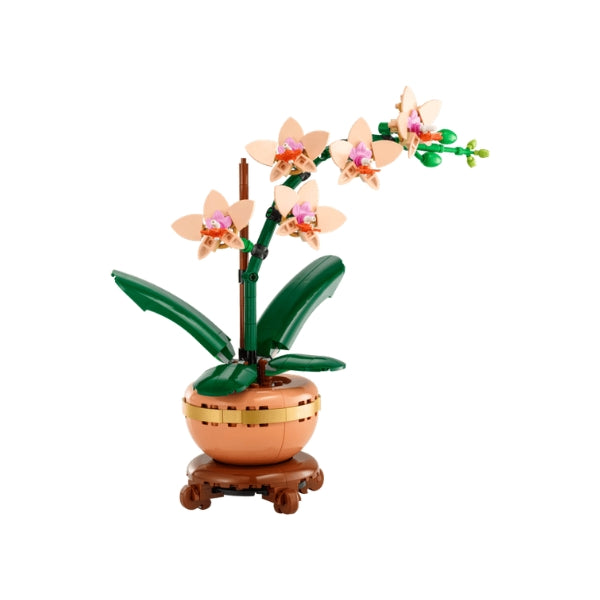 Compatible - Orchid (10343)