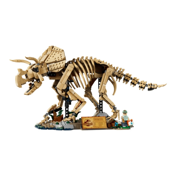 Compatible - Dinosaur Fossils: Triceratops (77985)